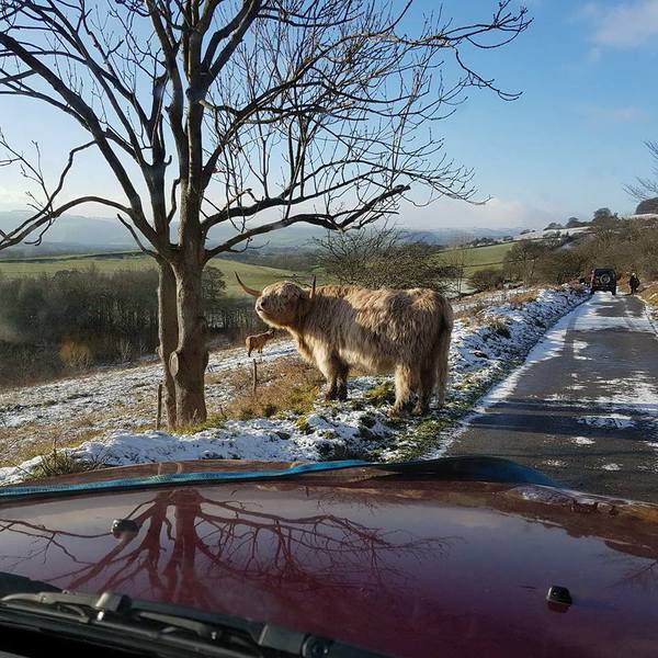 Peak 4x4 Response gallery image 11